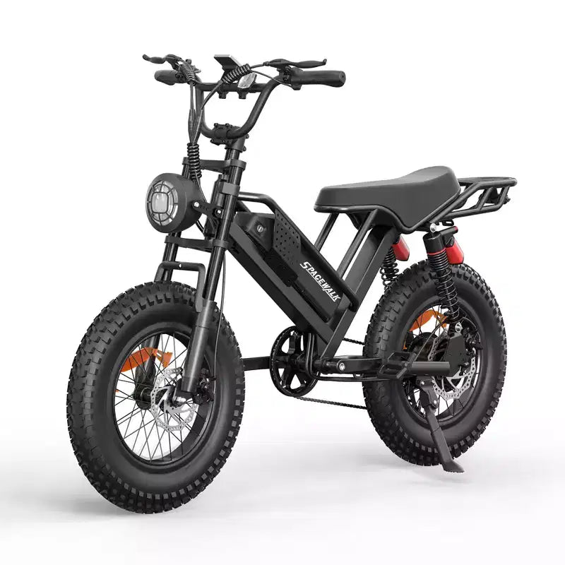 Eilleo 20 Fat Tire E-Bike  750W Motor (920W Peak), 24.9 mph, 5070 Mile Range, 48V 15.6Ah Battery, Dual Suspension, Shimano 7-Speed