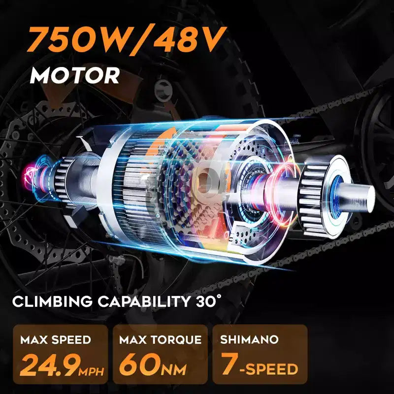 Eilleo 20 Fat Tire E-Bike  750W Motor (920W Peak), 24.9 mph, 5070 Mile Range, 48V 15.6Ah Battery, Dual Suspension, Shimano 7-Speed