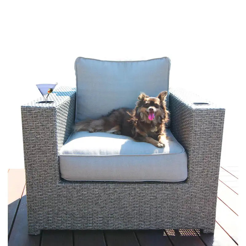 Chaise LSI avec coussins