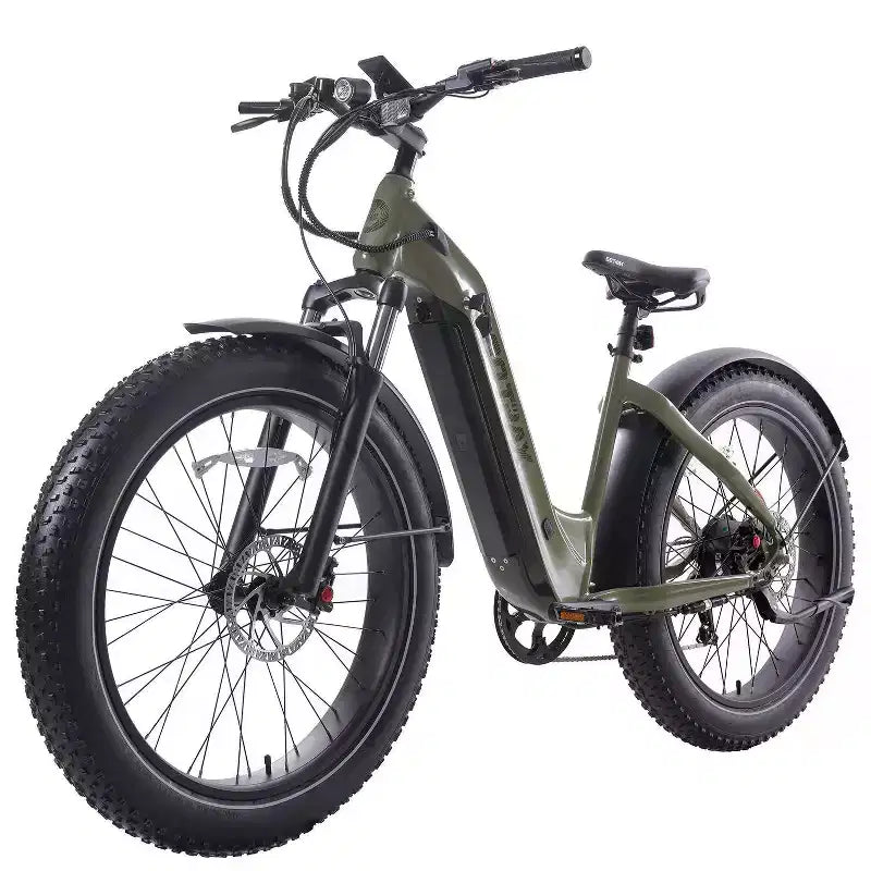 GOTRAX Adult Fat Tire 26 Step Through Electric Hybrid Bike - Green