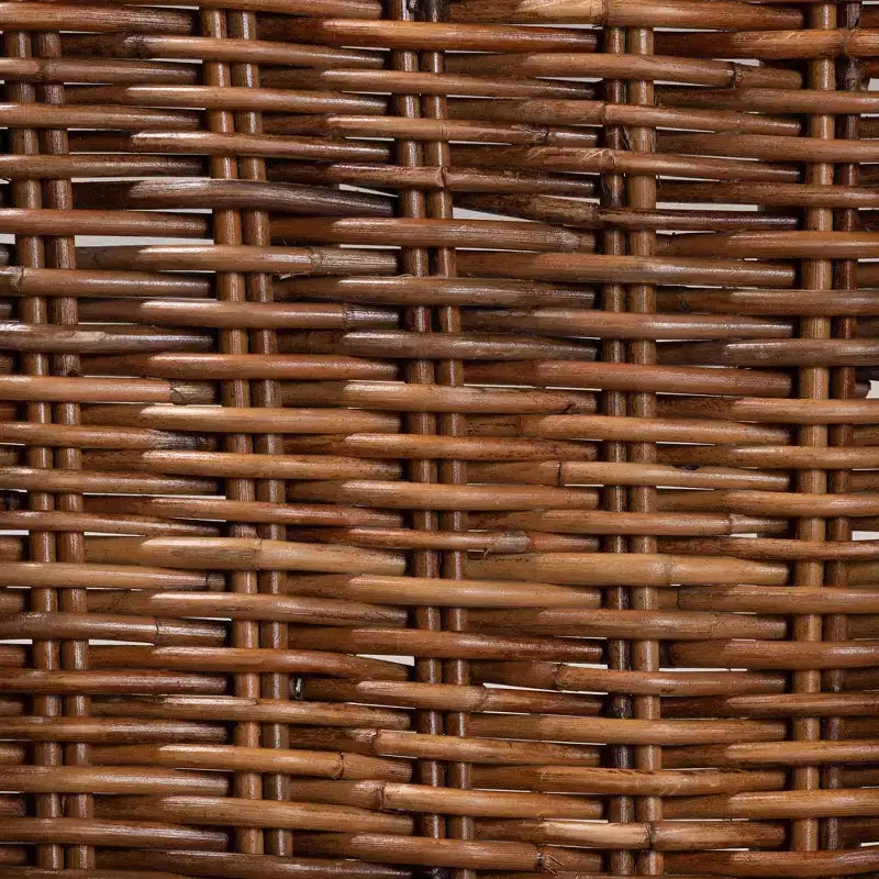 bali & pari Mario Modern Bohemian Natural Brown Finished Teak Wood and Rattan 2-Piece Dining Chair Set